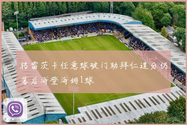 格雷茨卡任意球破门助拜仁追分仍落后海登海姆1球